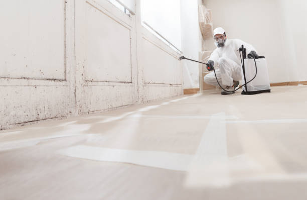 24/7 Emergency Commercial Mold Remediation experts in Lewisburg, KY